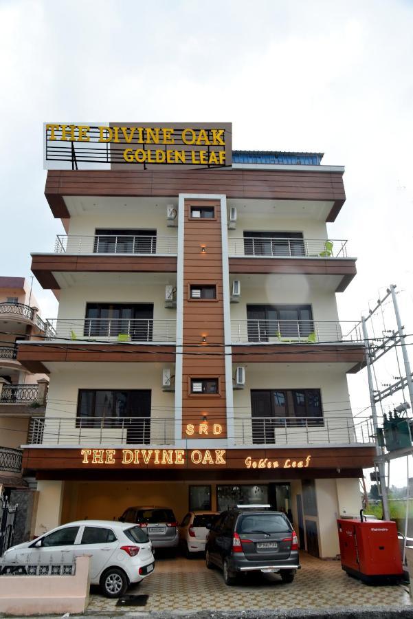 The Divine Oak Golden Leaf Hotel Katra  Exterior photo